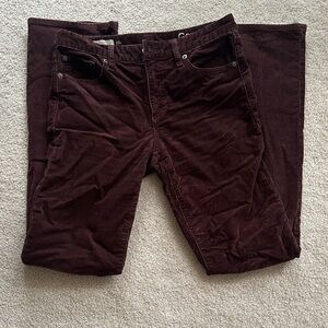 Brown Low Rise GAP Boot Cut Jeans